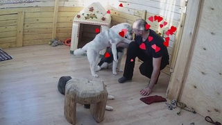 Детки Яники. Мелодия любви!