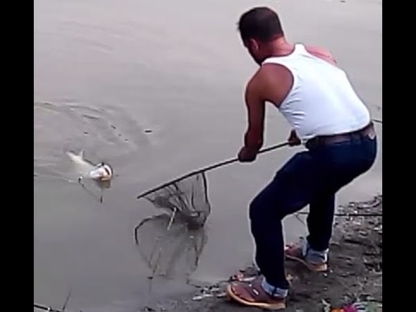 Catla, Fish, , Fishing, By Fish, Hook, last friday, Fishing,