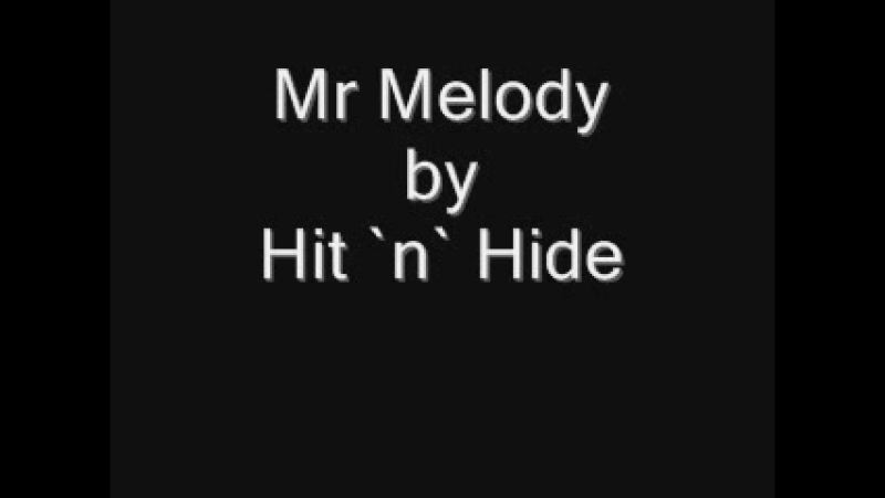 Hit n Hide mr.