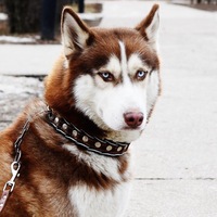 Роман Бородин