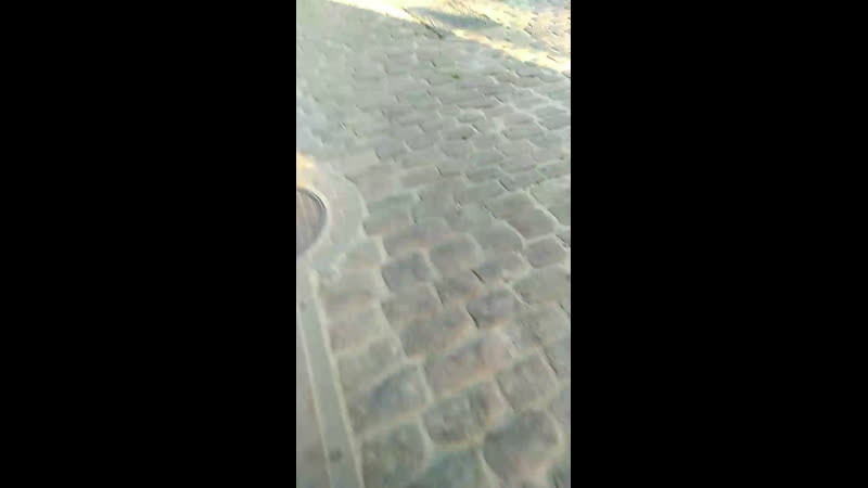 Они не
