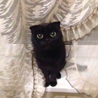 Максим Морозов