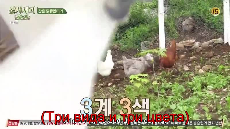 Three Meals a Day E01 рус авто