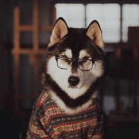 Настя Демидова