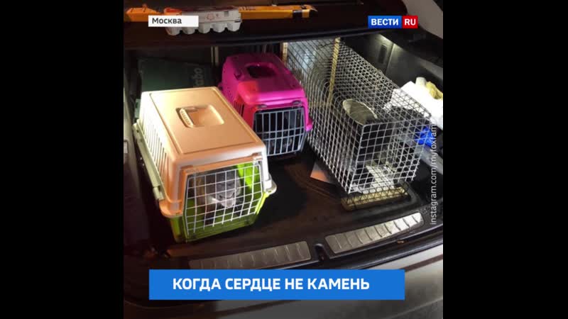 Когда сердце не камень