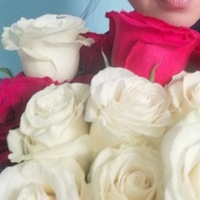 Светлана Семенова