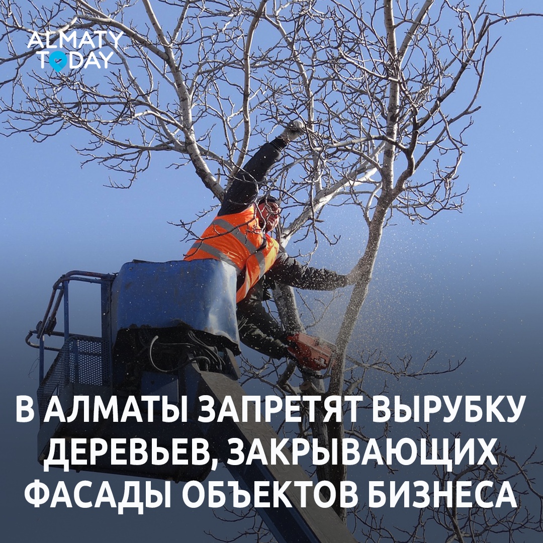 Отличная новость!
Все преимущества контрактных телефонов от