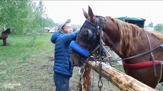 Конный праздник а Аромашево