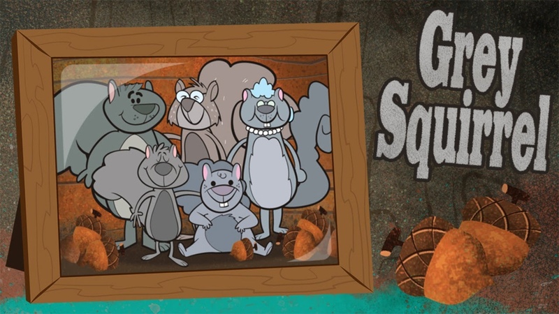 Grey Squirrel Song Autumn Songs for Children Kids Songs by The Learning