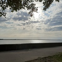 Елена Иванова