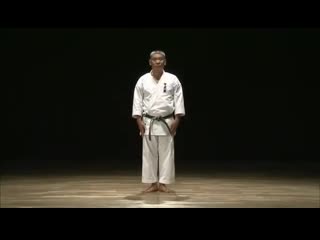 Pinan Nidan by Yasuhiro Uema Sensei