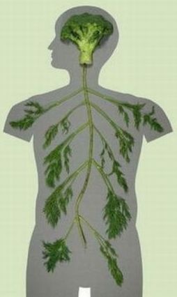 №74, Никита Товкайло, Москва №74, Никита Товкайло, Москва