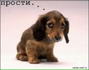 Фотография Tanua Tanua