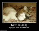 Фотография Анжела Кольчугина