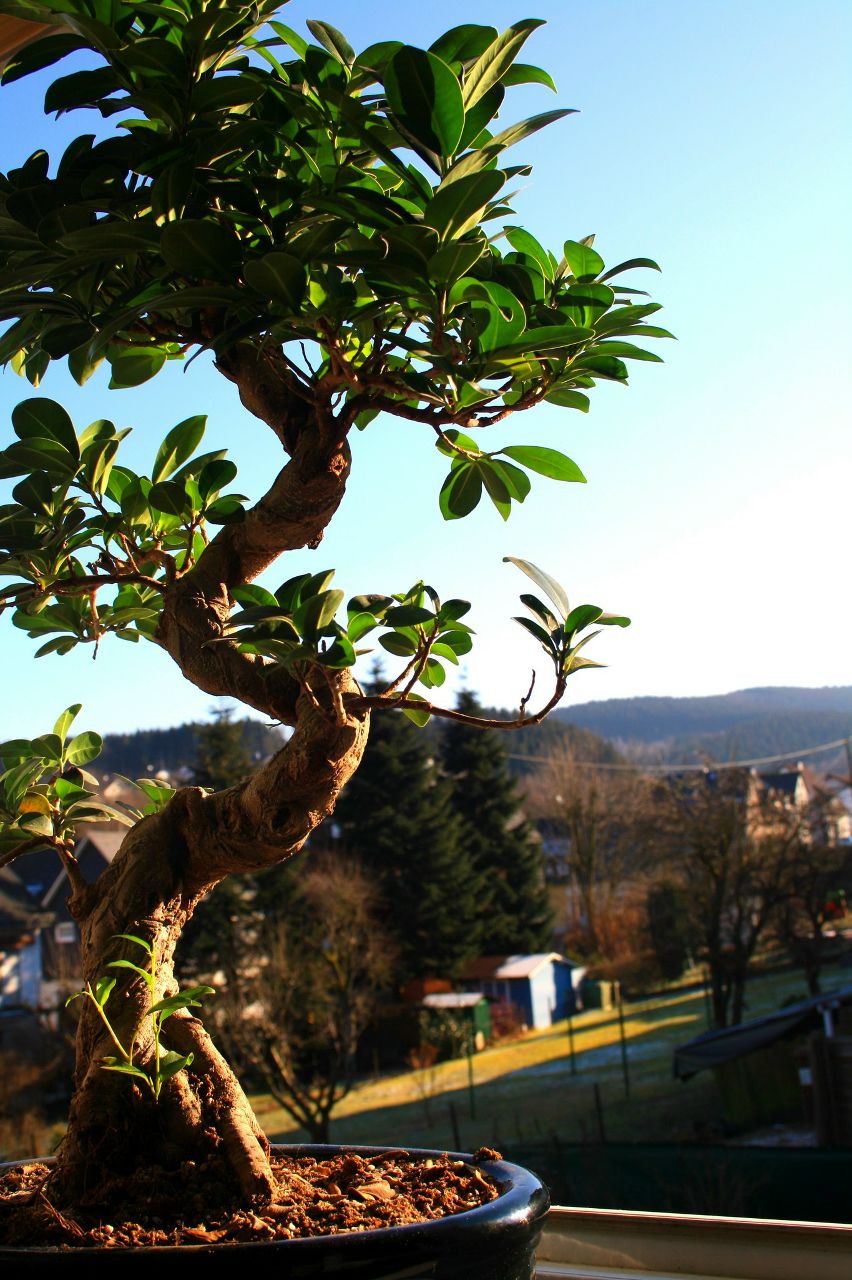 Paul Chevalier | Hannover