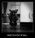 Фотография Трибельгорна Виталия