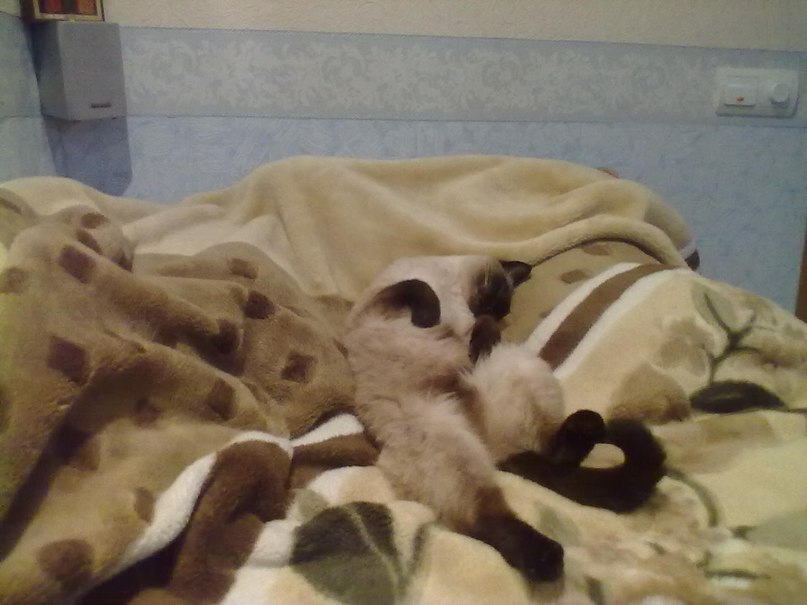 Алексей Фёдоров | Санкт-Петербург