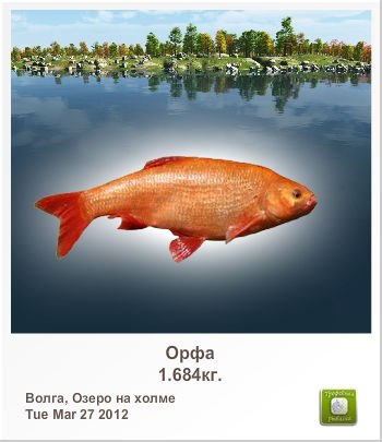 Сергей Скороходов | Набережные Челны