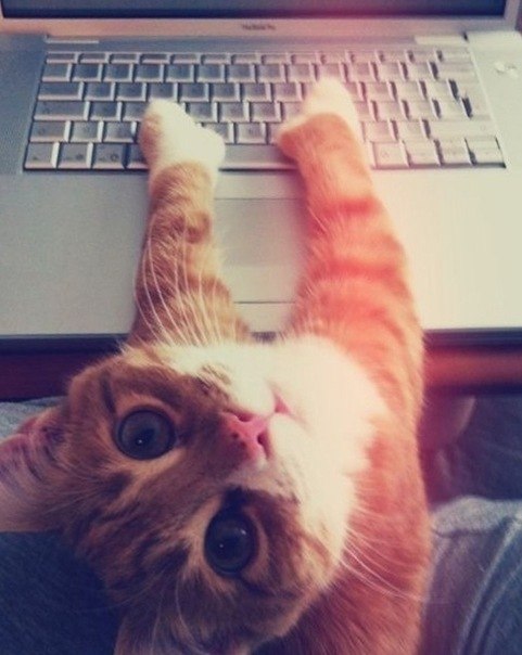 №173, Анна Шатова, Санкт-Петербург №173, Анна Шатова, Санкт-Петербург