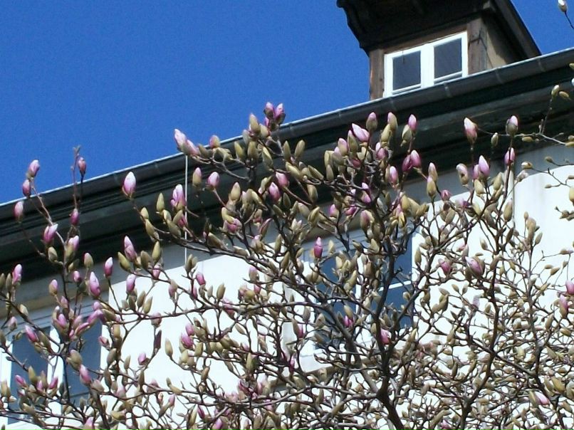 Татьяна Рассказова | Санкт-Петербург