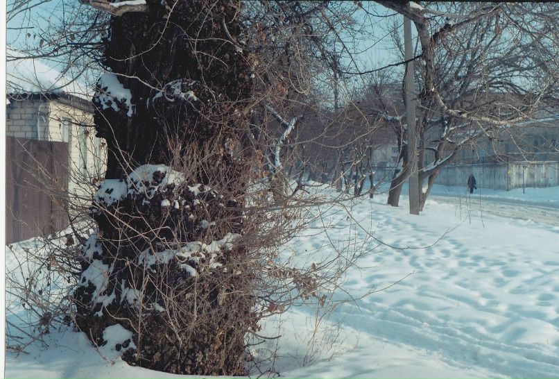 Юля Зобенко | 