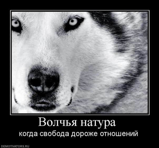 №31, Анастасія Іванова, Toronto №31, Анастасія Іванова, Toronto