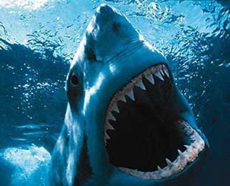 Екатерина Петрова | Мытищи