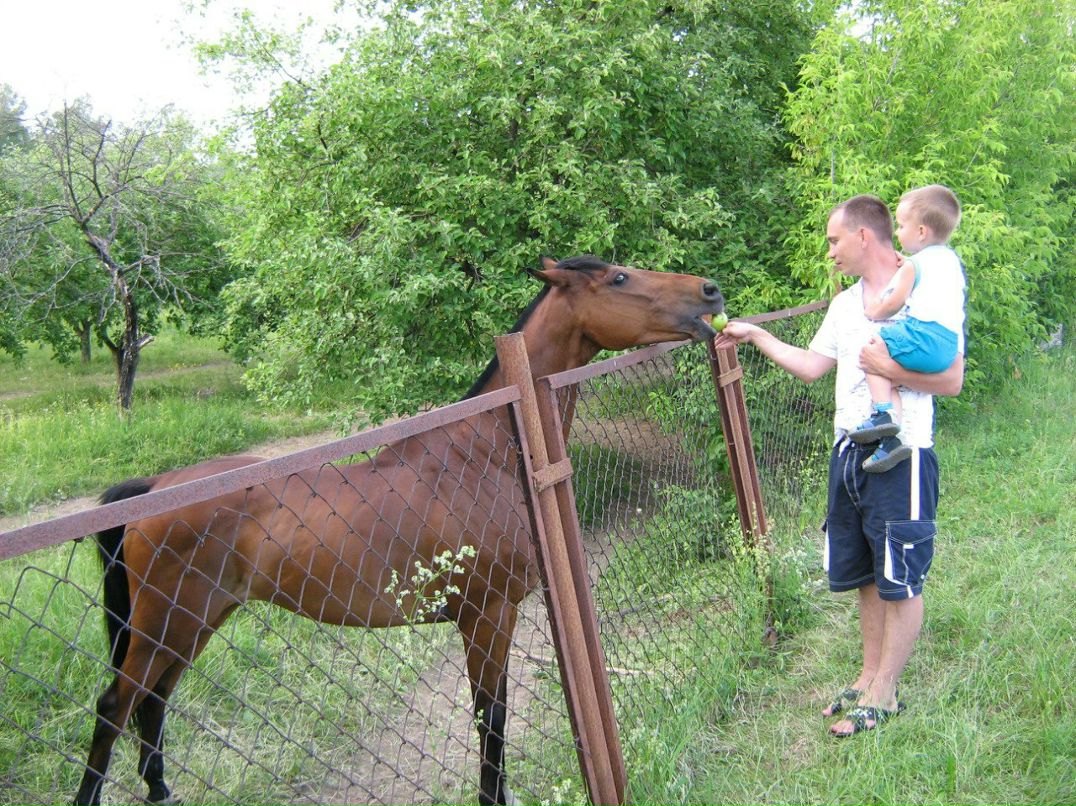 Павел Плохих | Одинцово