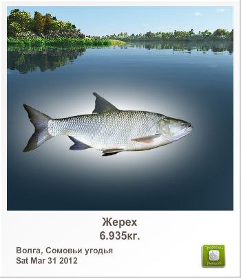 Владимир Литвин Владимирович | Днепр (Днепропетровск)