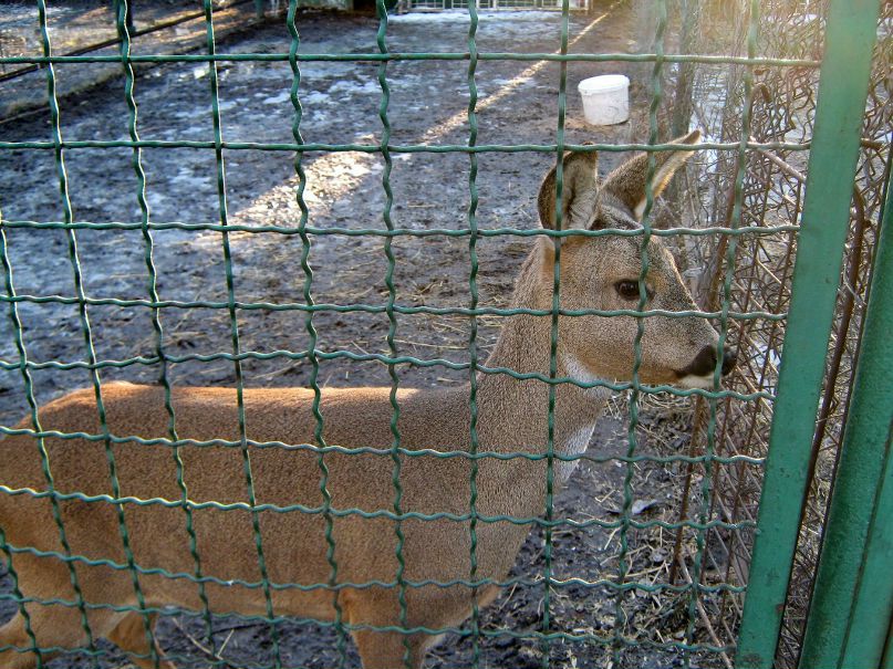 Станислав Губкин PHOTOGRAPHER | Днепр (Днепропетровск)