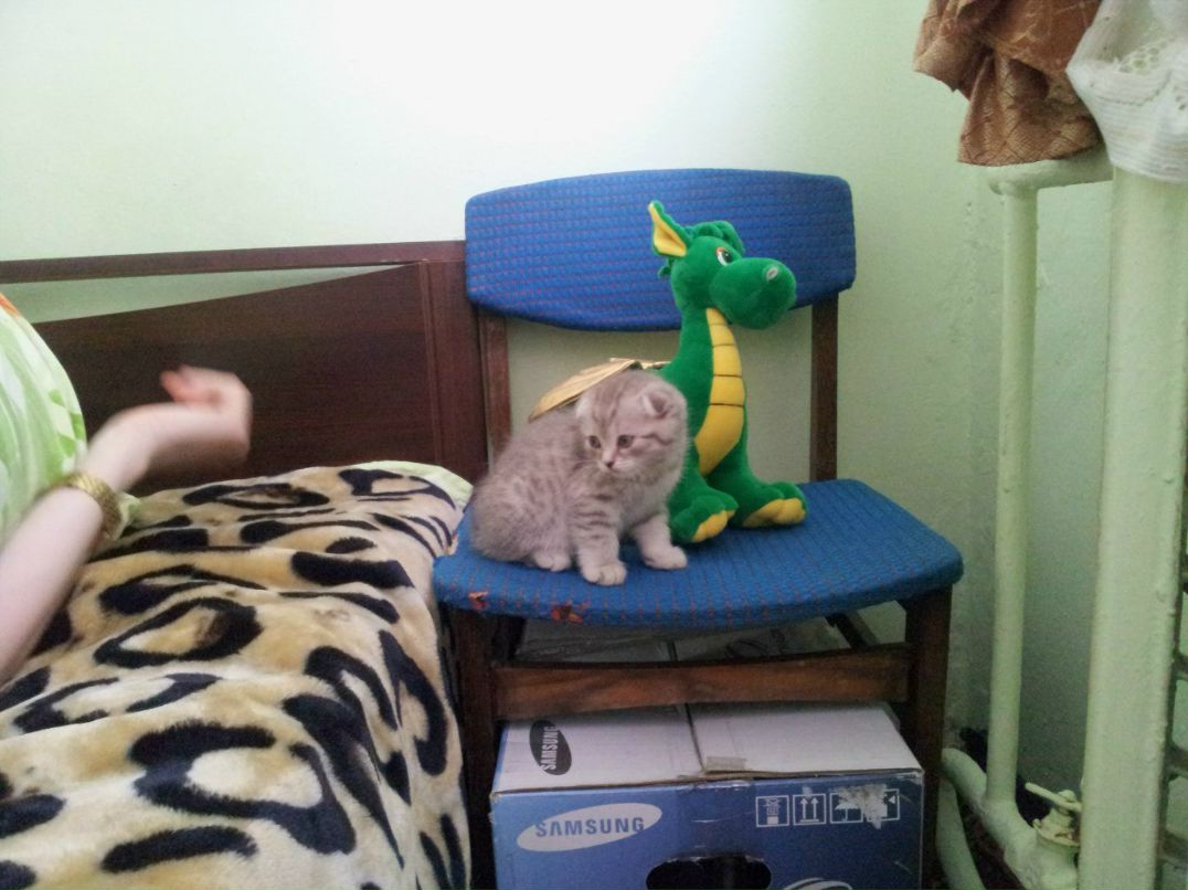 Анастасия Киселёва ٿ | Североморск