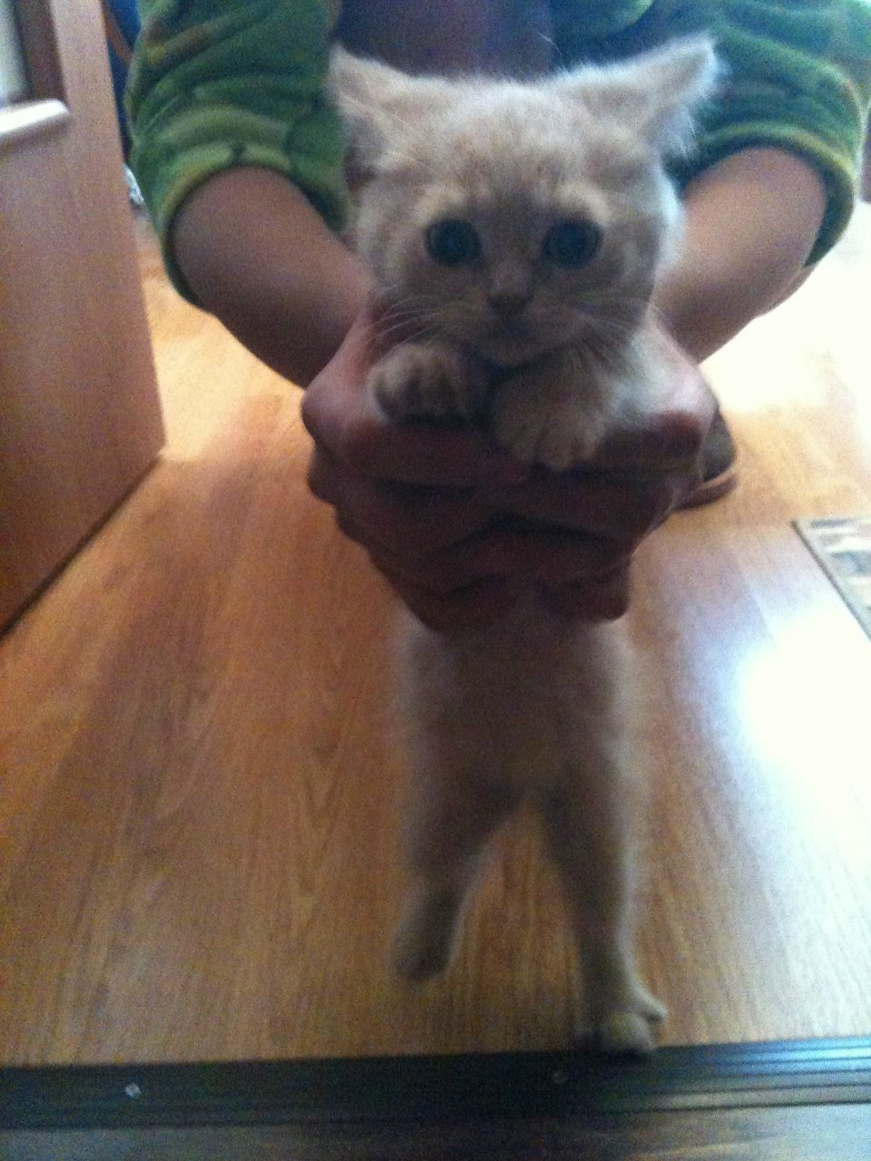 Екатерина Дмитриева | Челябинск