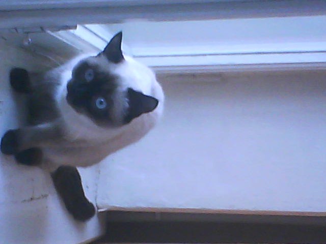 Мария Ткачёва | Казань