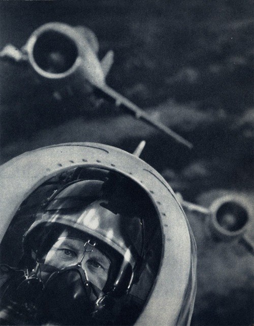 Андрей Стеценко | 