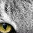 Юлия Честнова ◕⏝⏝◕ | Киев