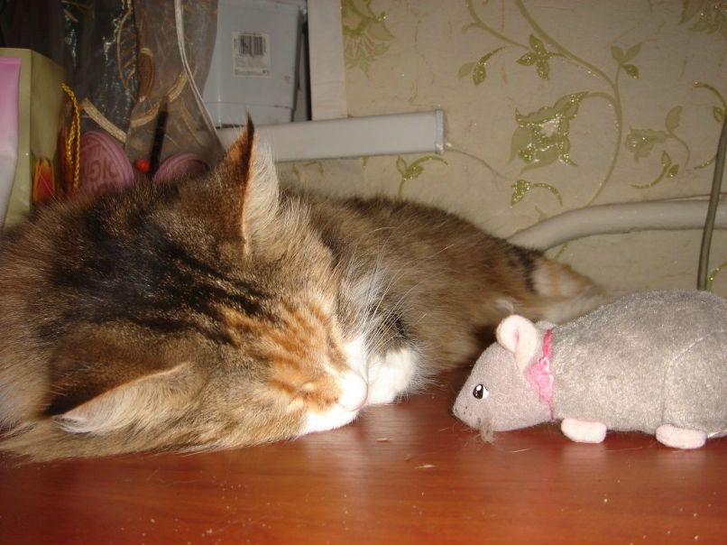 Андрей Волошин Enemy | 