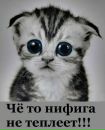 Фотография Сергей Пауков