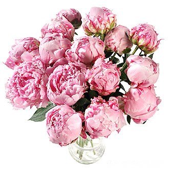 Мари Новаяжизньстаройстранице | Хабаровск