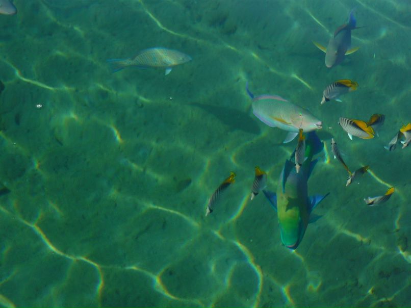 Регина Баева | Уфа