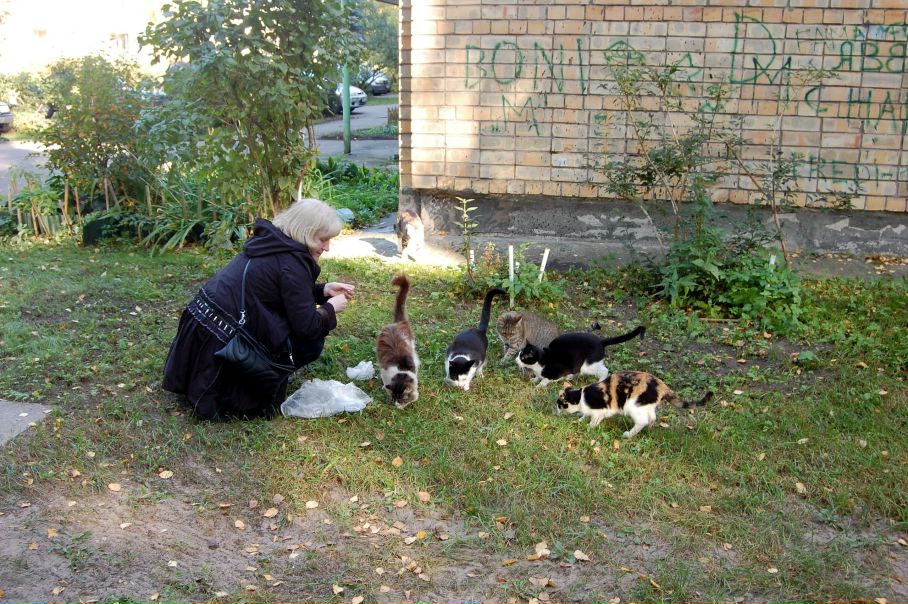 №26, Anna Troukhina, Санкт-Петербург №26, Anna Troukhina, Санкт-Петербург