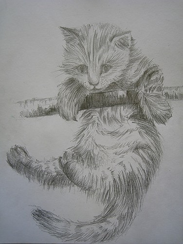 №92, Валерия Бондаренко, Харьков №92, Валерия Бондаренко, Харьков