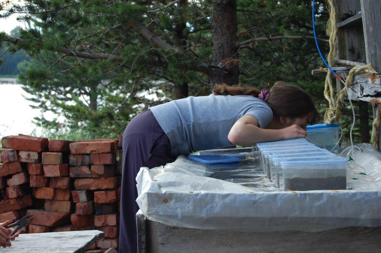 Алёна Шатских | Санкт-Петербург