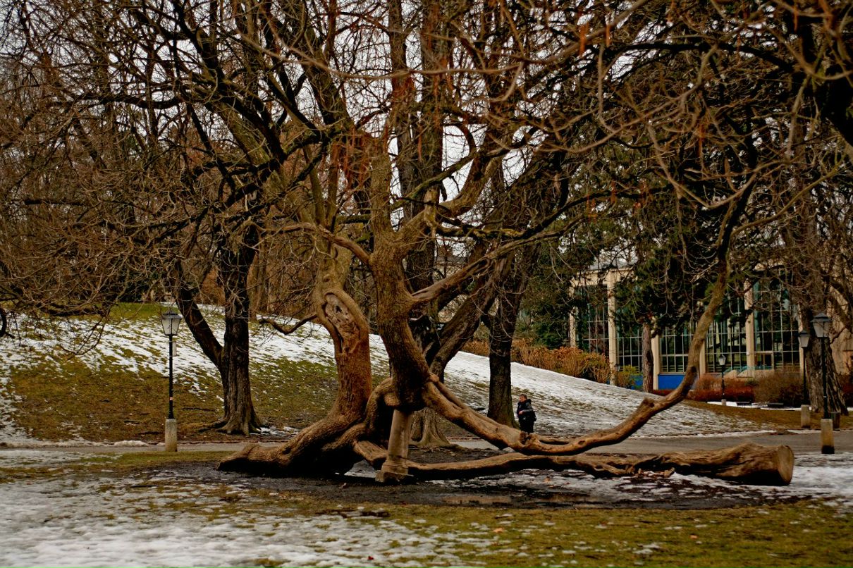 Катерина Кротова | Москва