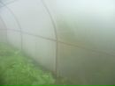 Фотография Софья Тимербаева