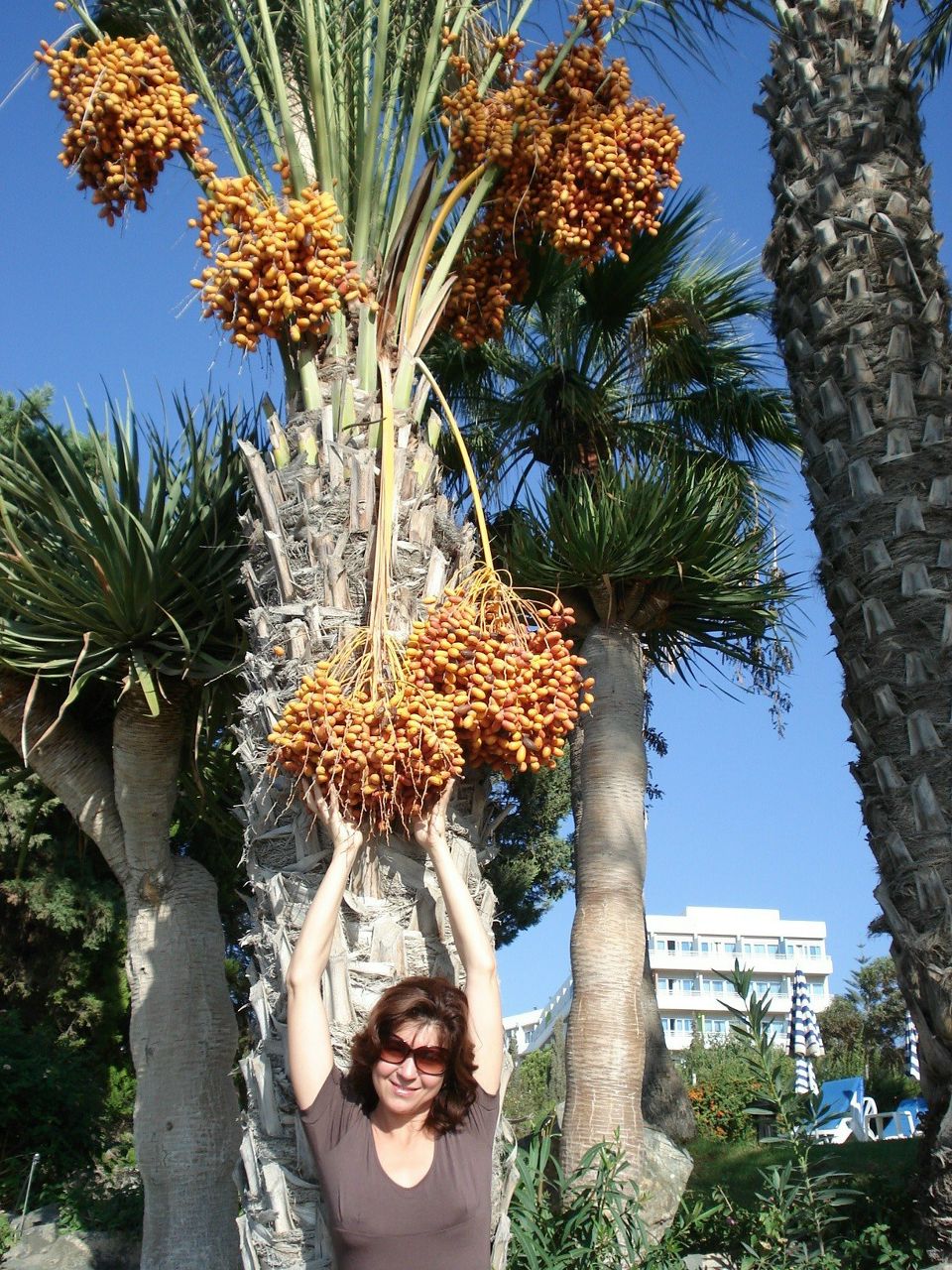 Татьяна Анисимова | Санкт-Петербург