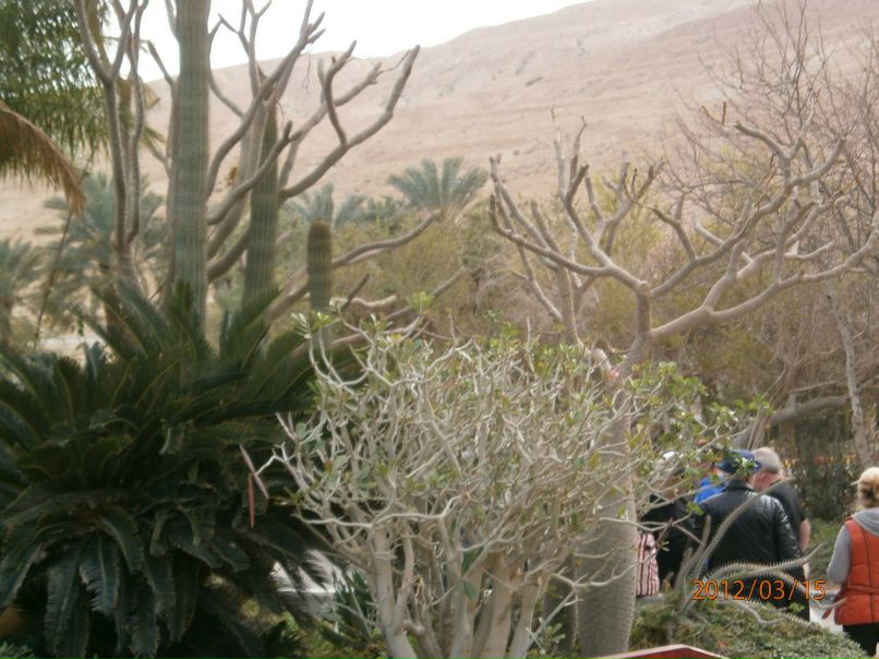 Татьяна Кириличева | Санкт-Петербург