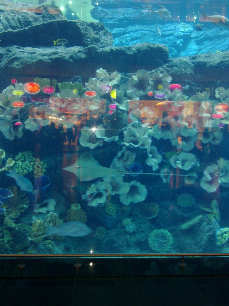 Ольга Смирнова | Чебоксары