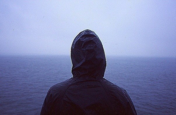 Цитаты обо всём
