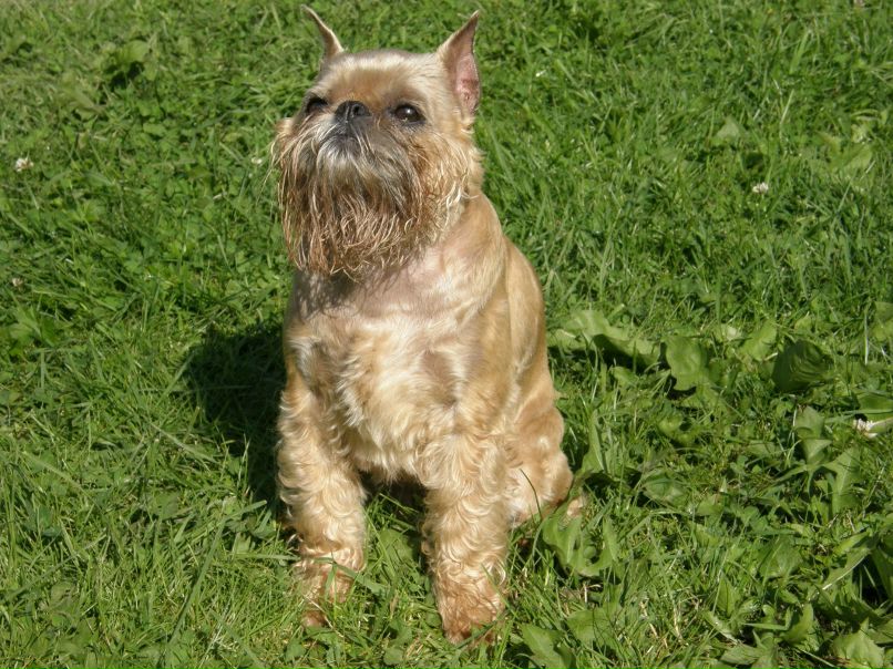 Александра Орлова | Санкт-Петербург