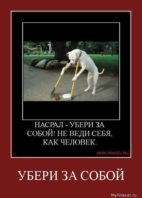 Светлана Соколова | Череповец